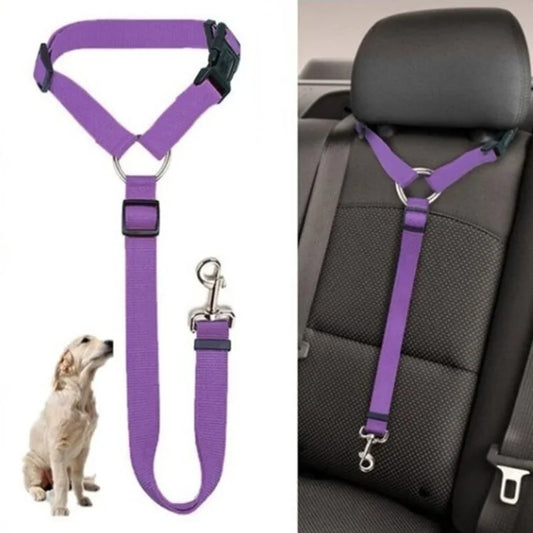 Two-in-one Backseat Car Belt Leash For Dogs