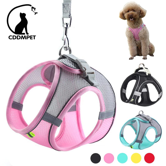 Dog Harness Leash Set For Dogs